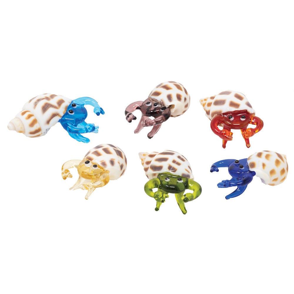 Mini Hermit Crabs: 6pc