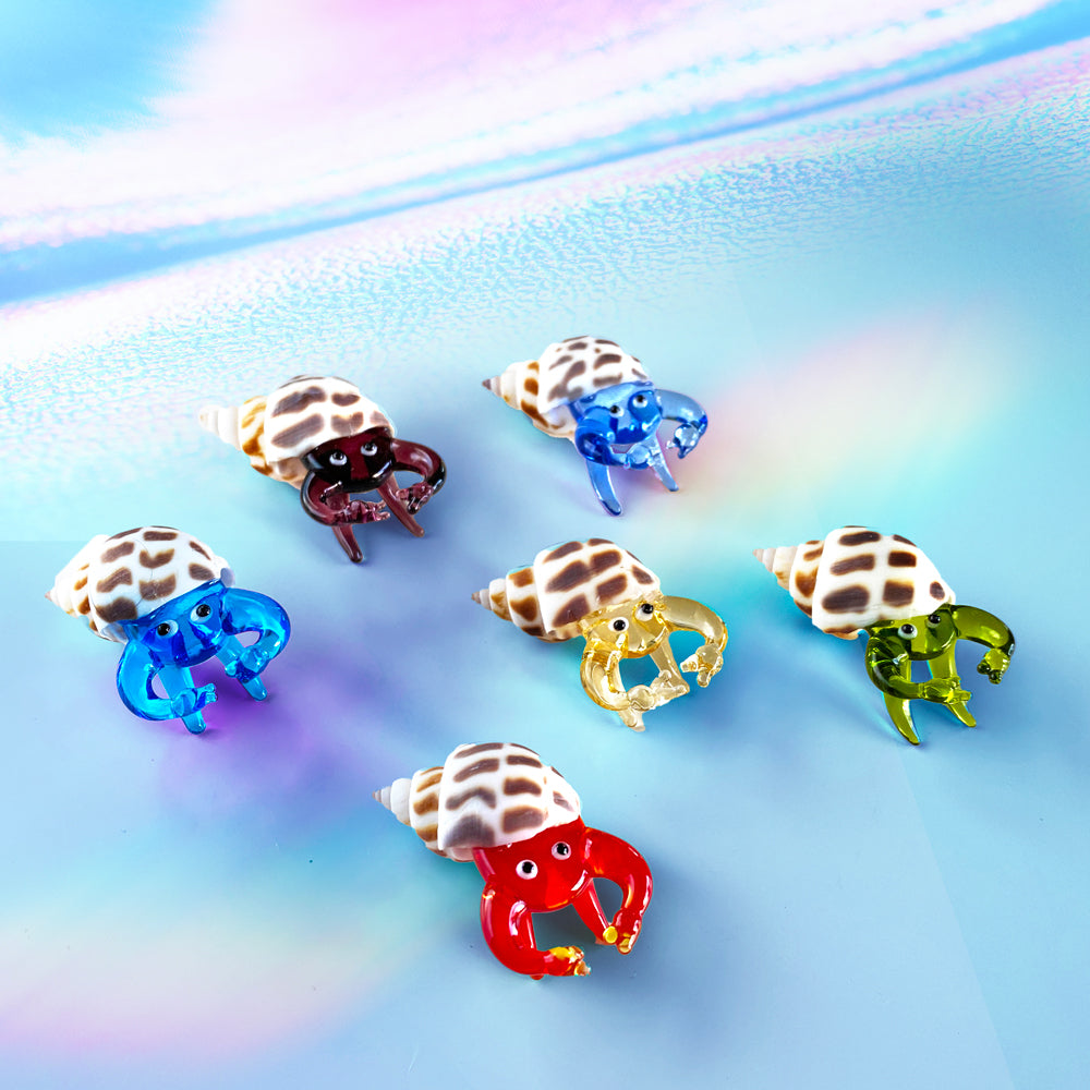 Mini Hermit Crabs: 6pc