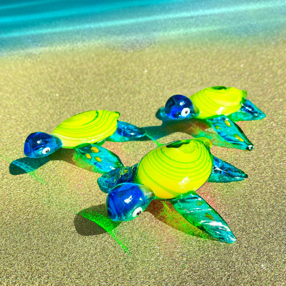 Sea Turtles: 3pc