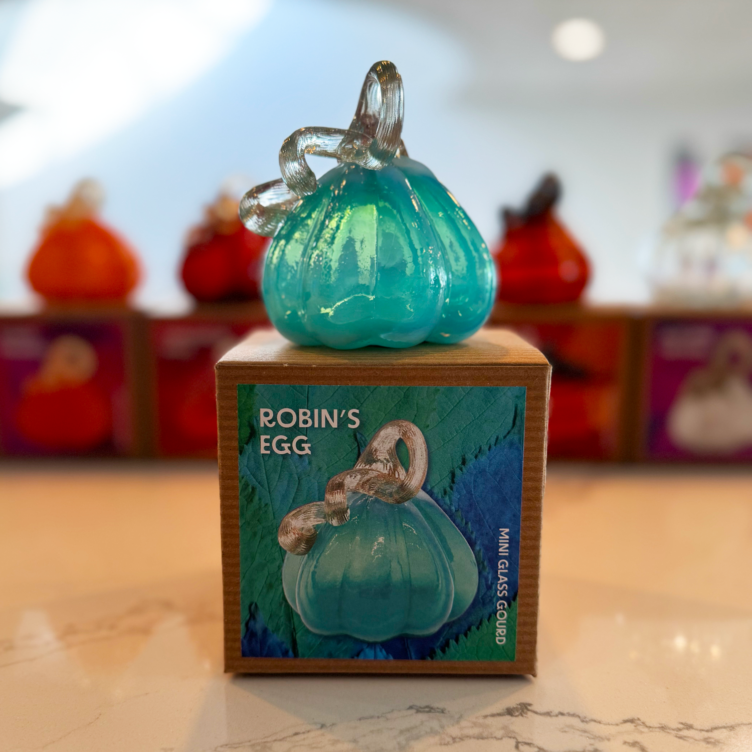 Robin's Egg Mini Gourd