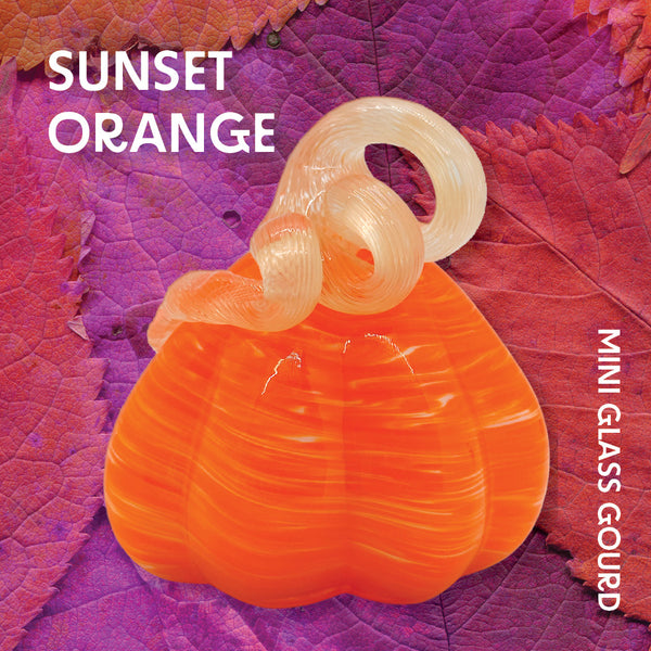 Sunset Orange Mini Gourd