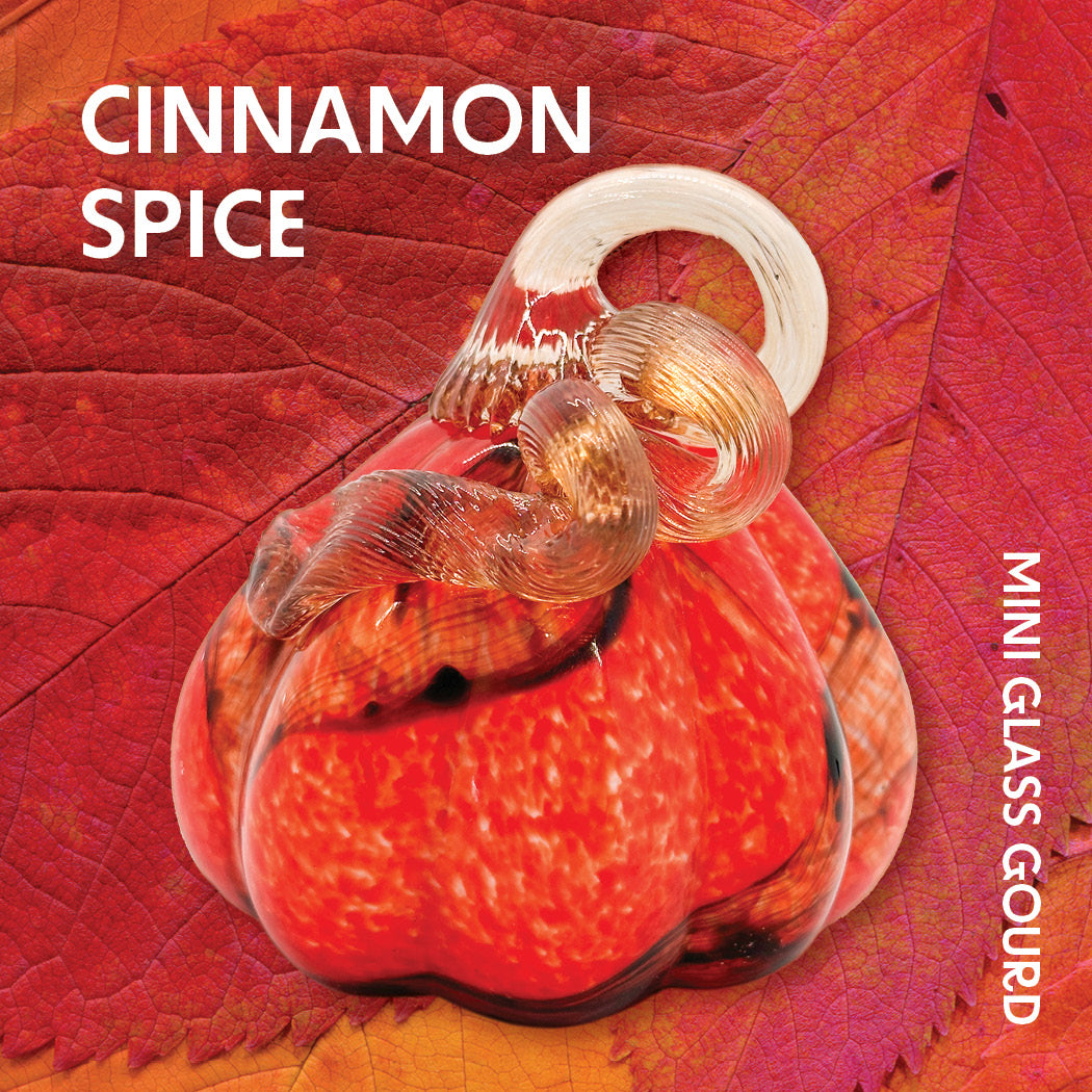 Cinnamon Spice Mini Gourd