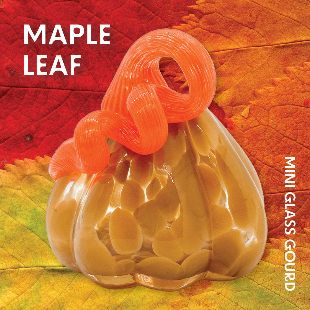 Maple Leaf Mini Gourd